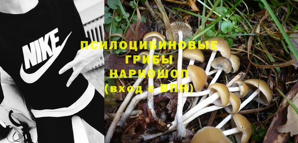 mdpv Пересвет
