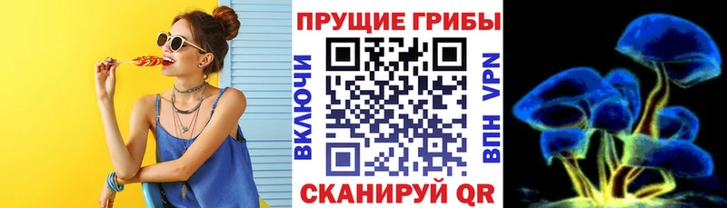 Купить где  Кимры  Галлюциногенные грибы мухоморы 